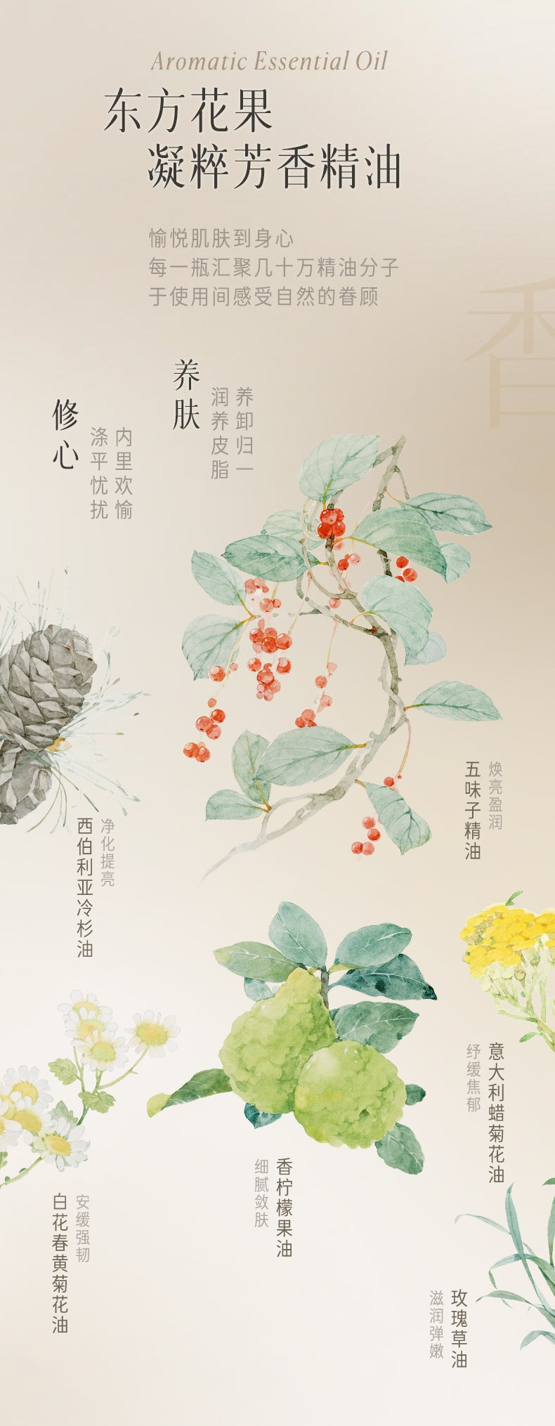 逐本植萃水漾洁颜油